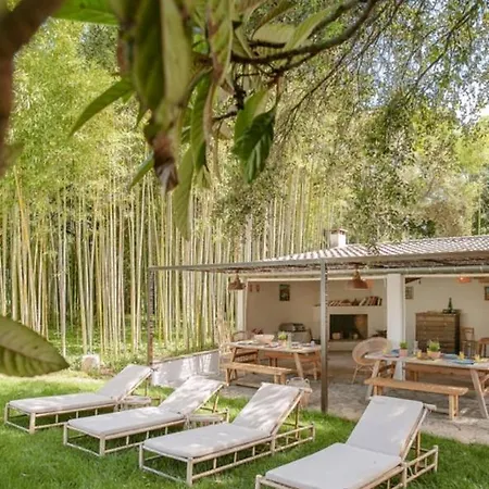 Dom wakacyjny Propriete De Famille De 660M Avec Piscine & Parc Nîmes